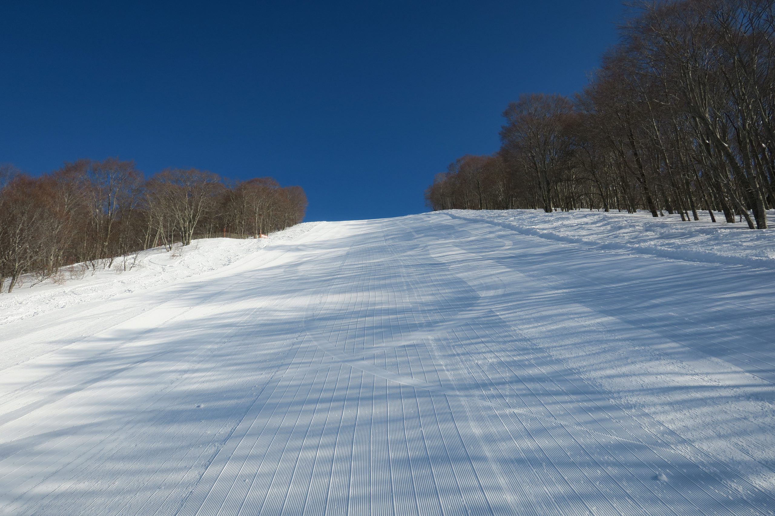 急斜面圧雪